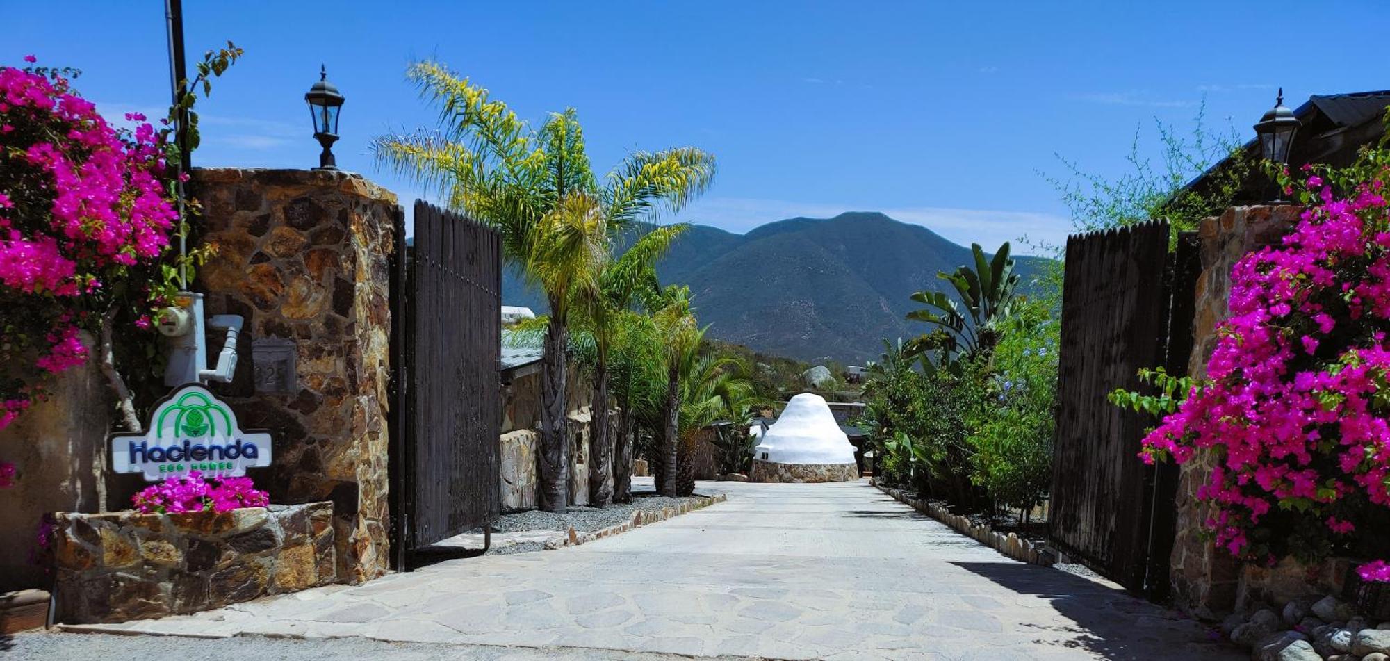 Hacienda Eco-domes